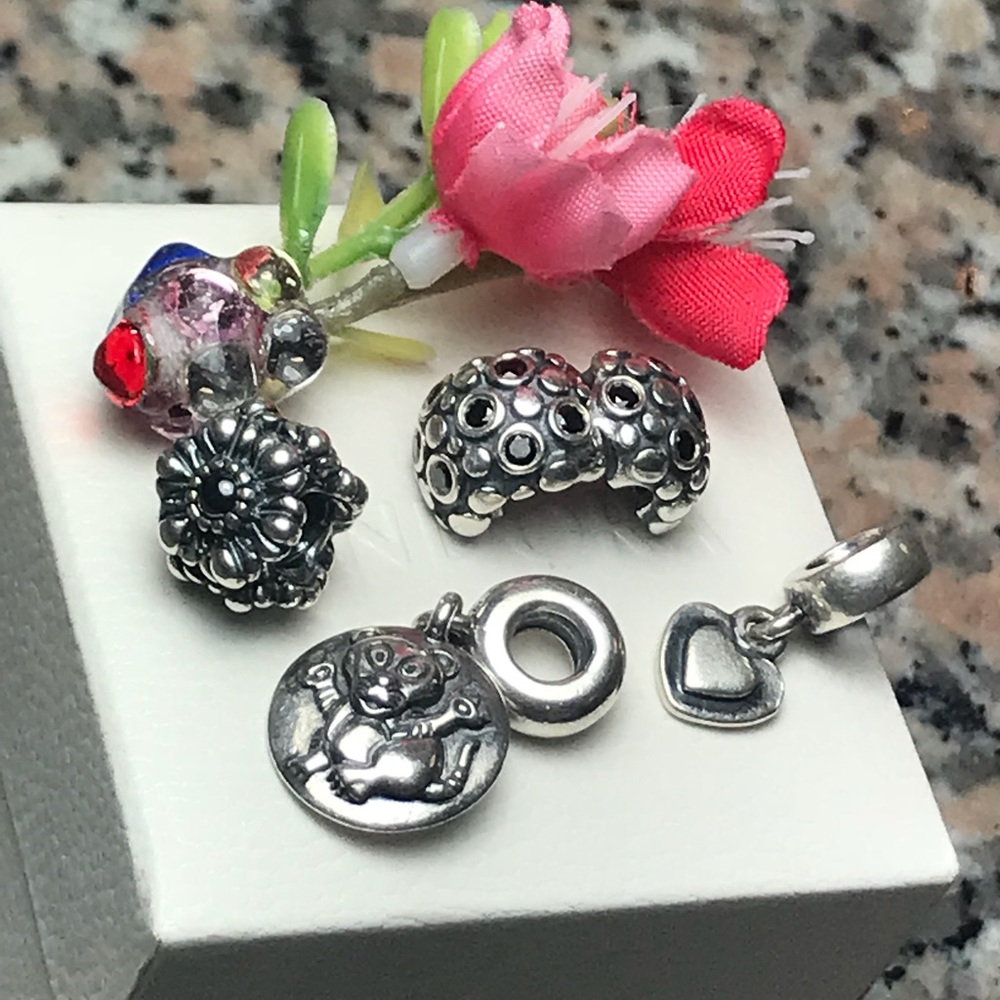 Pandora Charms Retired